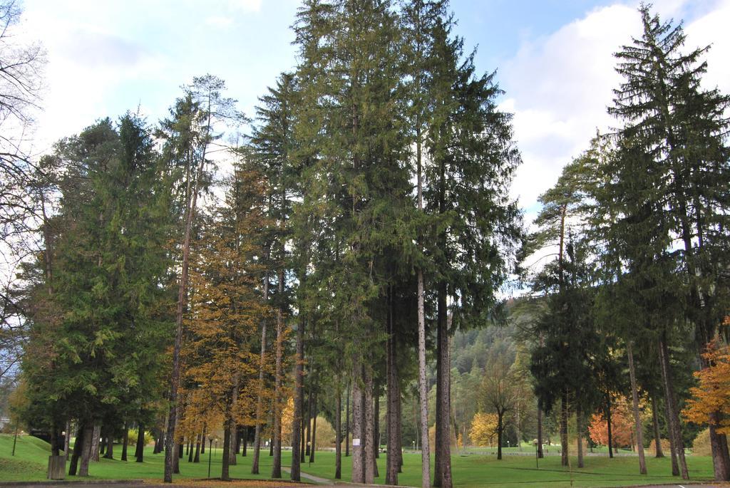 Residenza Finestra Sul Parco Appartement Comano Terme Buitenkant foto